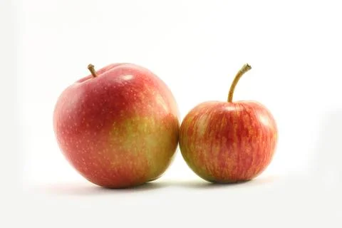 Two apples Stock Photos