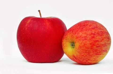 Two apples Stock Photos