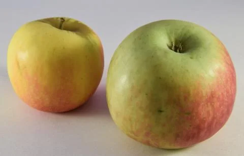 Two apples Stock Photos