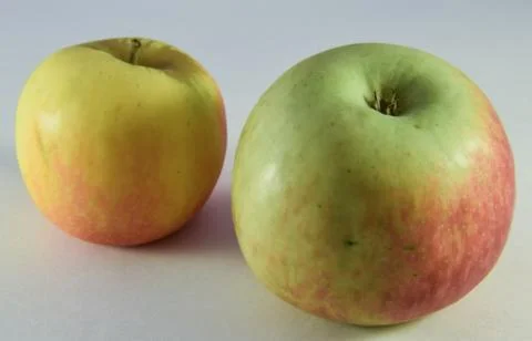 Two apples Stock Photos