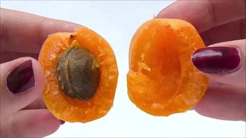Two apricot halves with a stone in hand on a white background. Stock Footage 311993576