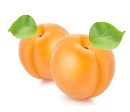 Two apricots with leaves Stock Photos