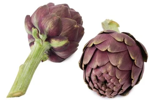 Two artichokes Foto stock