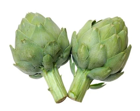 Two artichokes Foto stock