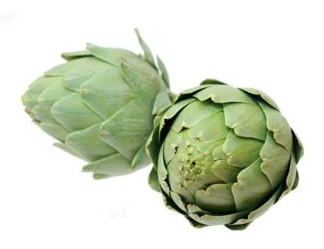 Two artichokes Stock Photos