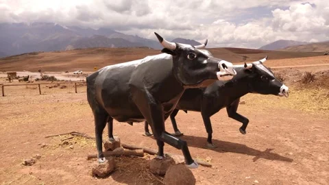 Two artificial modells of cows at a touristic site near Cusco, Peru. Stock Footage 288381843