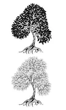 Two artistically drawn , outline tree on a white background. Stock Illustration