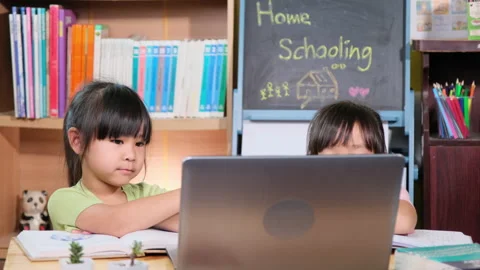 Two Asian female students study online video call Zoom with laptop at home.  Stock Footage 171618312