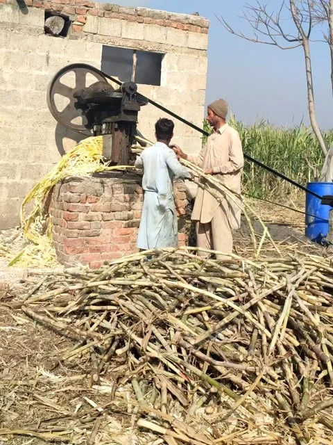 Two asian men are running sugarcane machine Stock-Footage 166884466