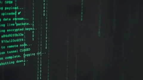 Two asian team working development of programming and encryption technology.. Stock Footage 310865566