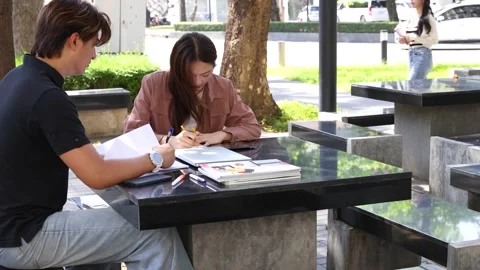 Two Asian University Students Studying and Laughing Together on Campus Stock Footage 329461619