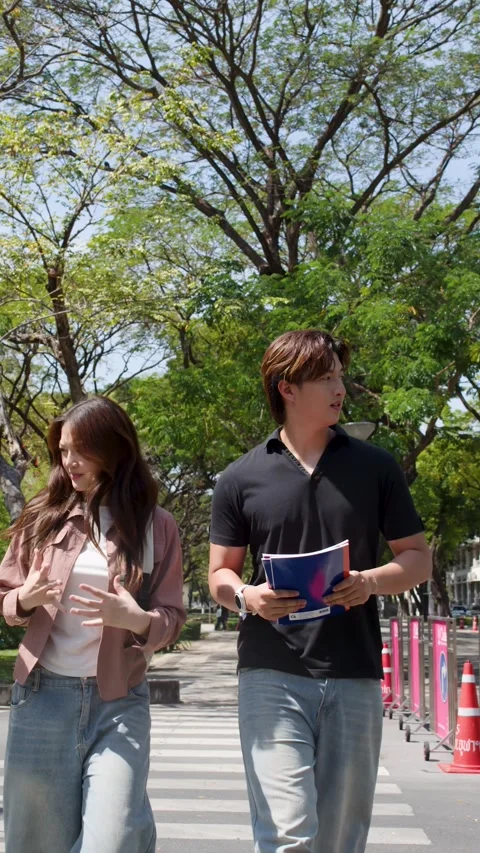 Two Asian University Students Walking and Talking on a Sunny Campus Stock Footage 335455845