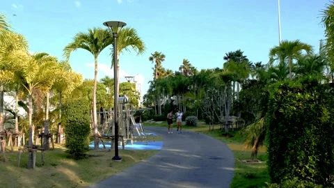 Asian Female Exercise Stock Videos – Royalty-Free HD & 4K Videos | Pond5