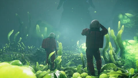 Two astronauts, while exploring an alien planet, came face to face with a Stock Footage 240110210