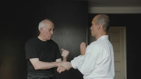 Two athletes doing kung fu wing chun exercises Video stock 142341028