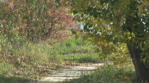 Two athletes running along path Stock Footage 87451