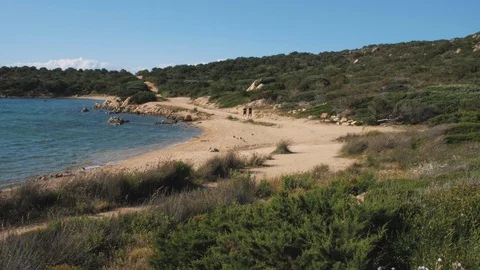 Two Athletic Men Running on the Beach 7 Vidéo 97263408