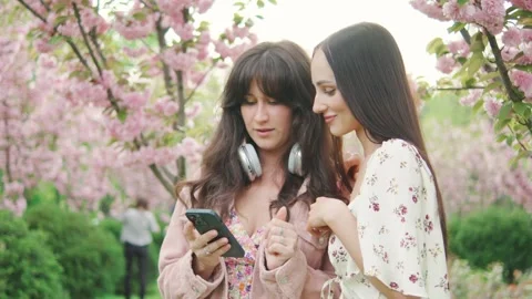 Two attractive blogger friends using smartphone and having fun near sakura trees Stock Footage 276446489