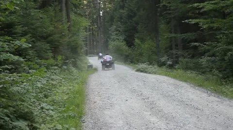 Two ATVs in forest Vídeos de archivo 12046445