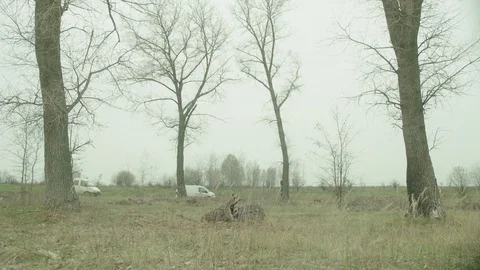 Two autos are going towards each other. Stock Footage 107792861