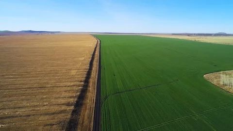 Two autumn agricultural fields Stock Footage 103192398