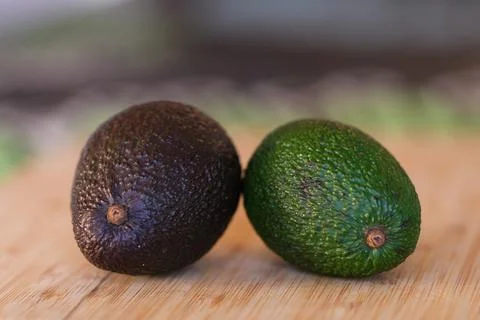 Two avocados Foto stock