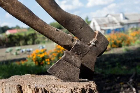 A two axes on hemp on backyard Stock Photos