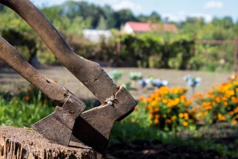 A two axes on hemp on backyard Stock Photos