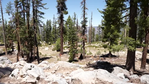 Two Backpackers Walking in the Mountains on a Summer Day in Yosemite Stock Footage 242024614