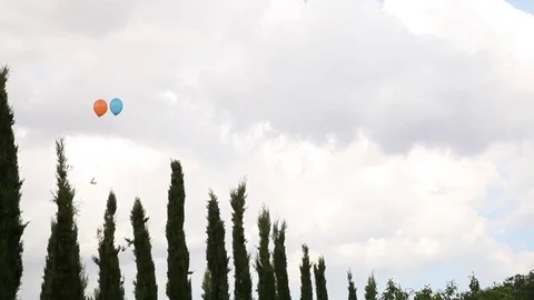 Two ballons fly away 動画素材 71890767