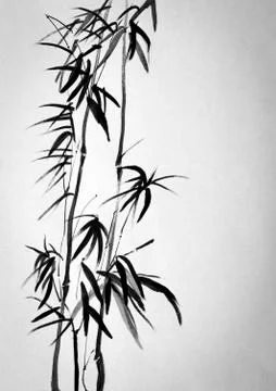 Two bamboo Stock Illustration