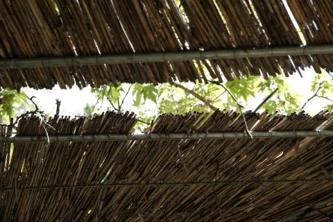 Two bamboo rooftops structures almost connecting Stock Photos