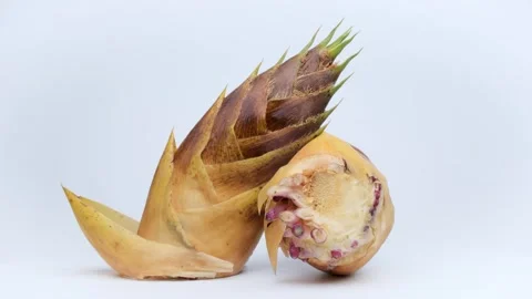 Two bamboo shoots turn. Stock Footage 300432460