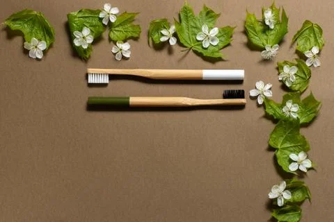 Two bamboo toothbrushes on a brown background. Stock Photos