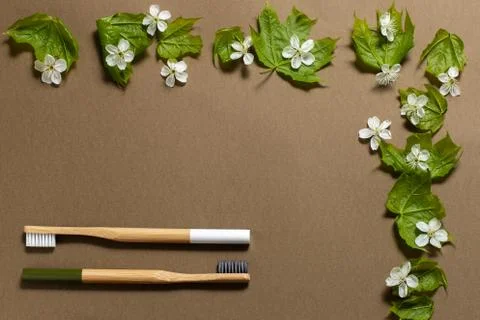 Two bamboo toothbrushes on a brown background. Stock Photos