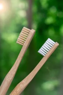 Two bamboo toothbrushes close-up on a background of nature. Stock Photos