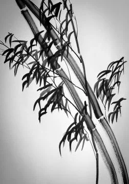 Two bamboo tree Stock Illustration