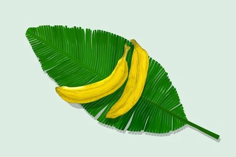 Two bananas over a green leaf vector illustration Stock Illustration