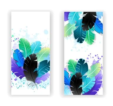 Two banners with bright feathers Stockillustratie