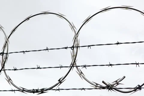 Two barbed wire circles Stock Photos