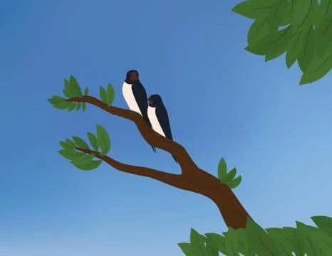 Two barn swallows Stock Illustration