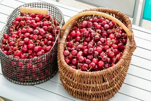 Two baskets filled with beautiful red cherries on a garden table Stock Photos