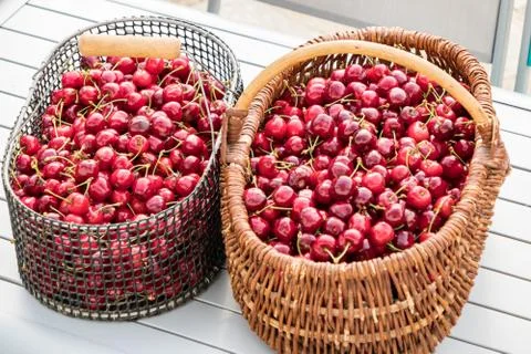 Two baskets filled with beautiful red cherries on a garden table Stock Photos