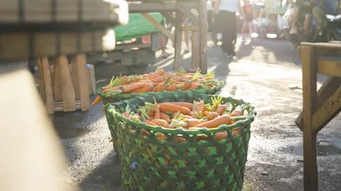 Two Baskets of Fresh Carrots Displayed at a Roadside Market Stock Footage 341447901