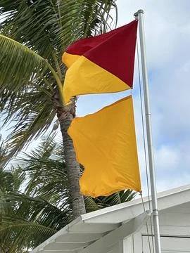 Two beach safety flags flutter on a metal pole in front of palm trees Stock Photos