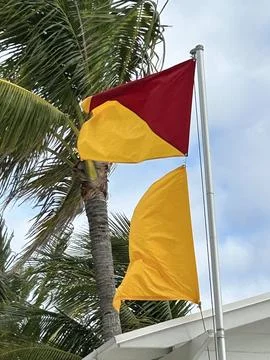 Two beach safety flags flutter on a metal pole in front of palm trees Stock Photos