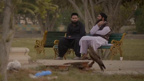 Two bearded men sitting at a park Video stock 111702760