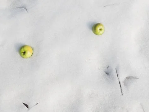 Two beautiful apple Stock Photos
