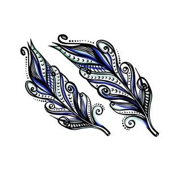 Two beautiful colored exotic feathers isolated on white background. Stock Illustration