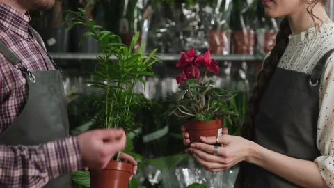 Two beautiful flowers in a pot in the hands Vidéo 170875664